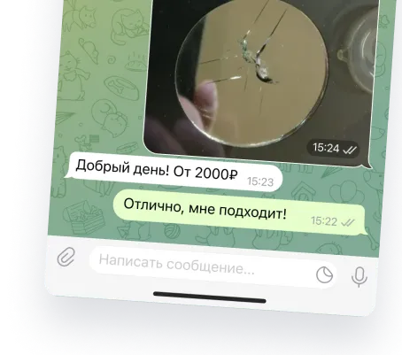 скриншот переписки с чат-ботом кампании